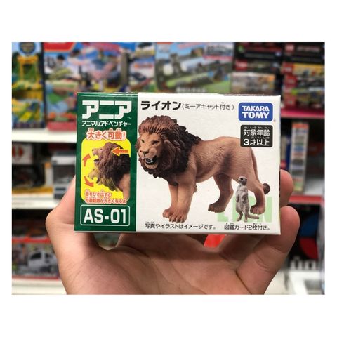  ANIA AS-01 Lion (with Suricata suricatta) 