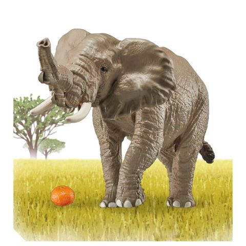  ANIA AS - 02 African Elephant (w/orange) animal Action Figure 