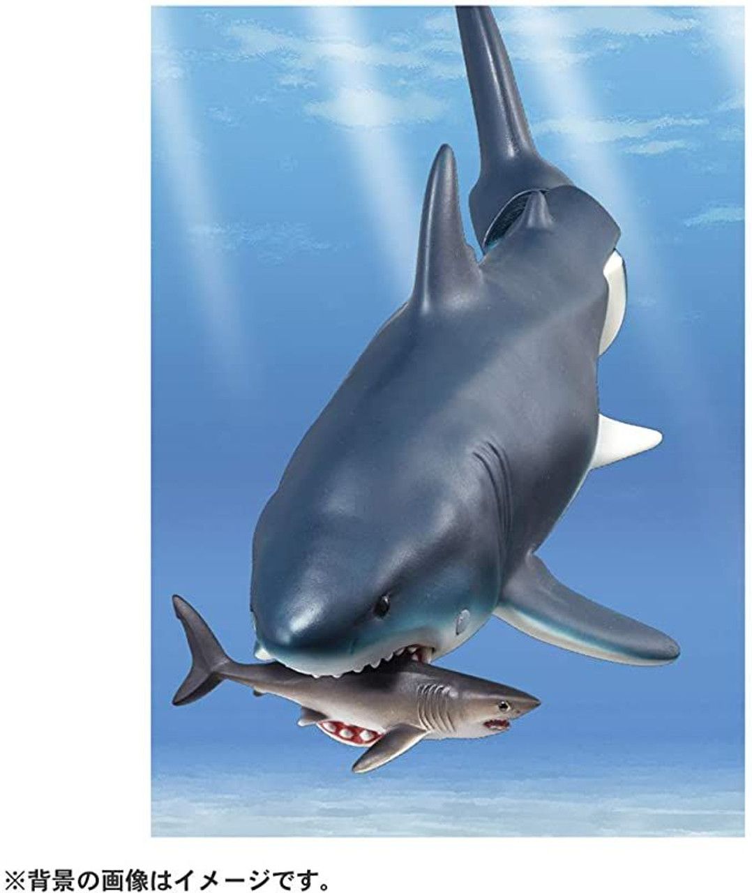 Mô hình Cá Mập Khổng Lồ Cổ Đại Megalodon Patton PNSO 10