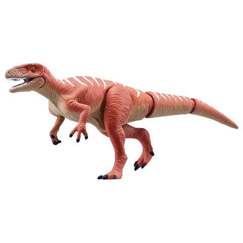  AL-19 Fuquiraptor Animal 