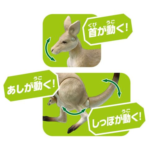  Mô hình Ania AS-21 Ookangaroo 