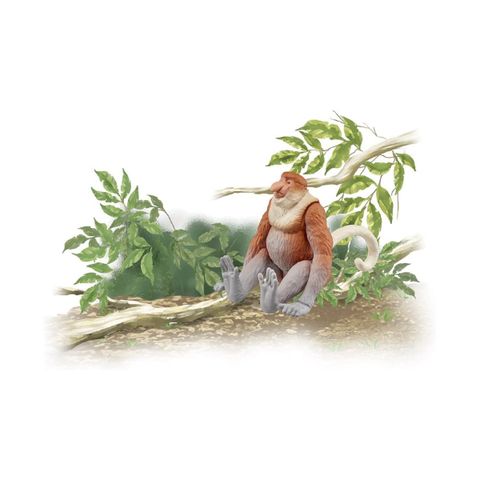  Đồ chơi mô hình ANIA AS-29 proboscis monkey 