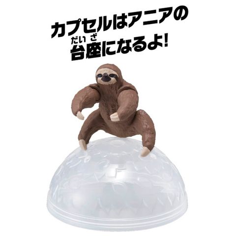  Mô hình Ania AC-06 Sloth (Kids)