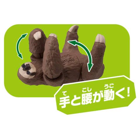  Mô hình Ania AC-06 Sloth (Kids)