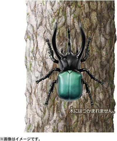  AS-39 Three Horned Beetle 