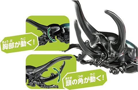  AS-39 Three Horned Beetle 