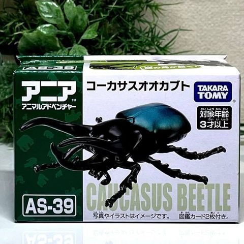  AS-39 Three Horned Beetle 