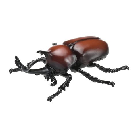  Đồ chơi mô hình bọ cánh cứng ANIA AS-37 Beetle 