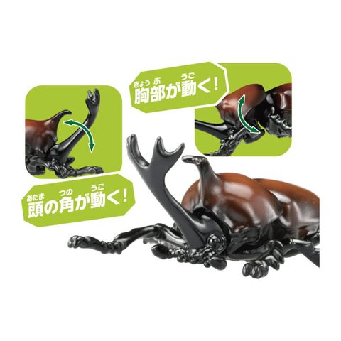 Đồ chơi mô hình bọ cánh cứng ANIA AS-37 Beetle 