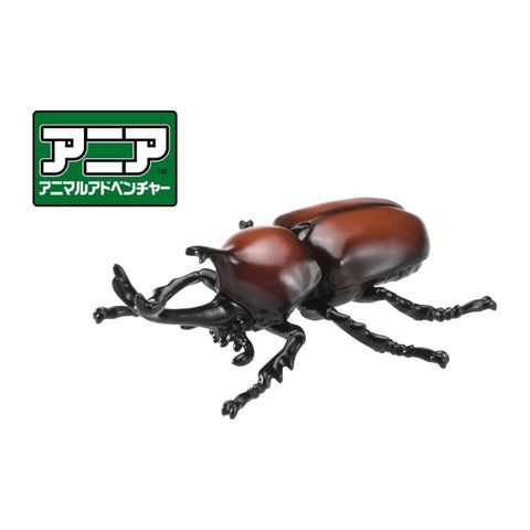  Đồ chơi mô hình bọ cánh cứng ANIA AS-37 Beetle 