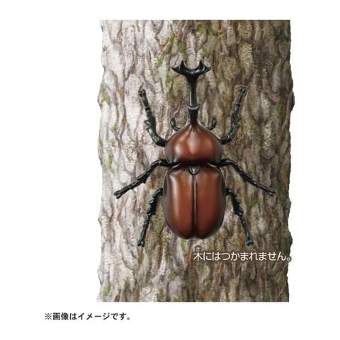  Đồ chơi mô hình bọ cánh cứng ANIA AS-37 Beetle 