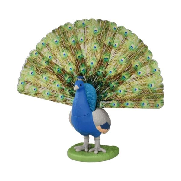  ANIA AS-16 Peacock 