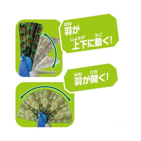  Đồ chơi mô hình con công ANIA AS-16 Peacock 