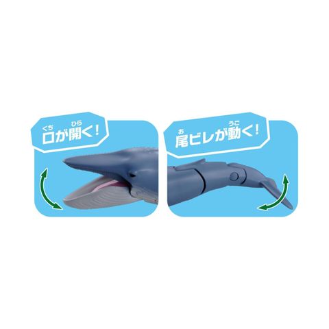  Đồ chơi mô hình cá voi xanh Takara Tomy AL-23 Blue whale (Floating ver) ANIA 