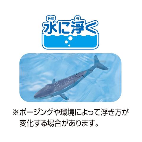  Đồ chơi mô hình cá voi xanh Takara Tomy AL-23 Blue whale (Floating ver) ANIA 