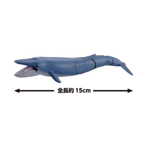  Đồ chơi mô hình cá voi xanh Takara Tomy AL-23 Blue whale (Floating ver) ANIA 