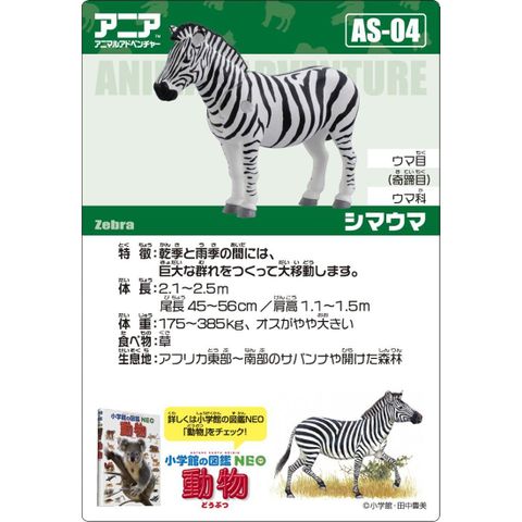  AS-04 Zebra Mô hình ngựa vằn 