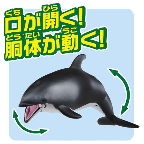  Đồ chơi mô hình ANIA Animal AS-19 White-sided Dolphin Floatable Ver. Action Figure 