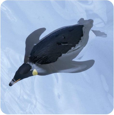  ANIA AS-11 Emperor Penguin (Floatable Ver,) 