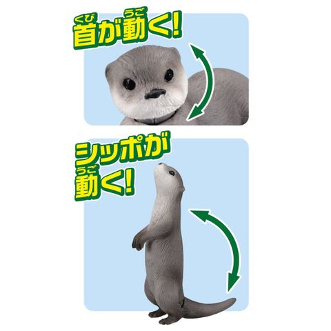  Mô hình Ania AS-15 Eurasian Otter 