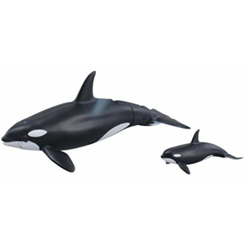  Mô hình Cá Voi Sát Thủ Ania AL-08 Killer Whale Takara Tomy 