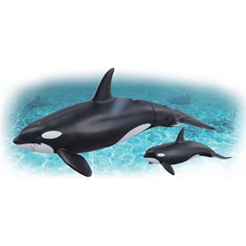  Mô hình Cá Voi Sát Thủ Ania AL-08 Killer Whale Takara Tomy 