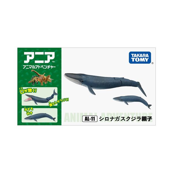 Mô hình cá voi xanh Ania AL-11 Blue Whale Takara Tomy