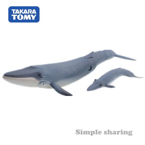  Mô hình cá voi xanh Ania AL-11 Blue Whale Takara Tomy 