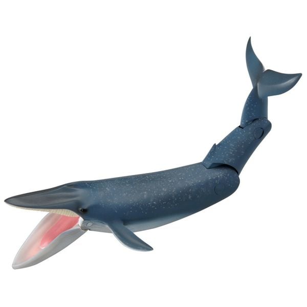 Mô hình cá voi xanh Ania AL-11 Blue Whale Takara Tomy