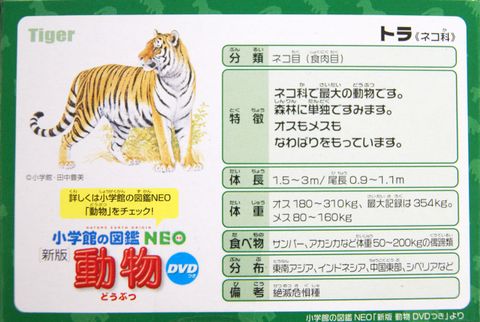  Mô hình Hổ Ania AS-30 Tiger (phiên bản hoang dã) Takara Tomy 