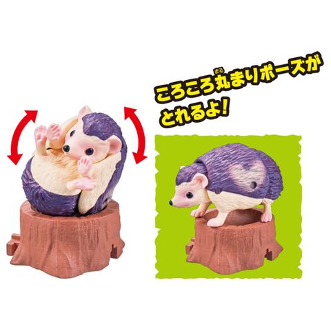  Mô hình Ania Adventure Continent Ania Kingdom Heart (Yotsuyubi Hedgehog) 