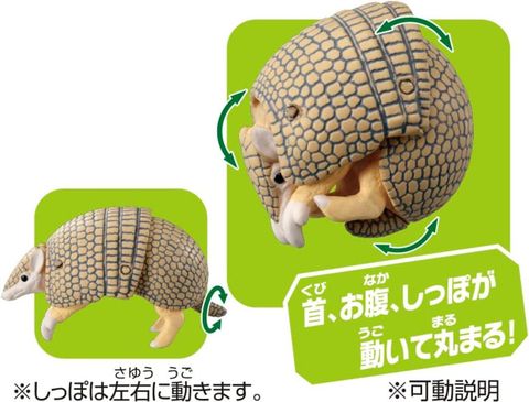  Đồ chơi mô hình động vật Ania AS-45 Armadillo 