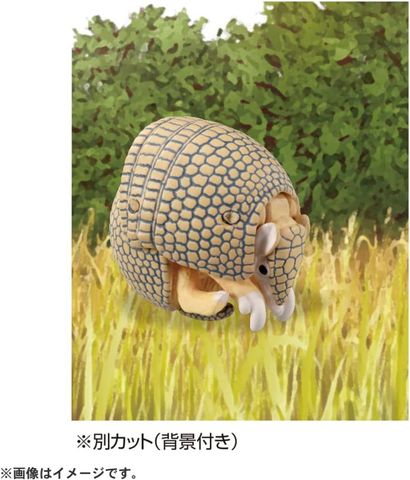  Đồ chơi mô hình động vật Ania AS-45 Armadillo 