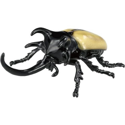  Đồ chơi mô hình Ania AS-41 Five Horns Beetle 