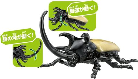  Đồ chơi mô hình Ania AS-41 Five Horns Beetle 