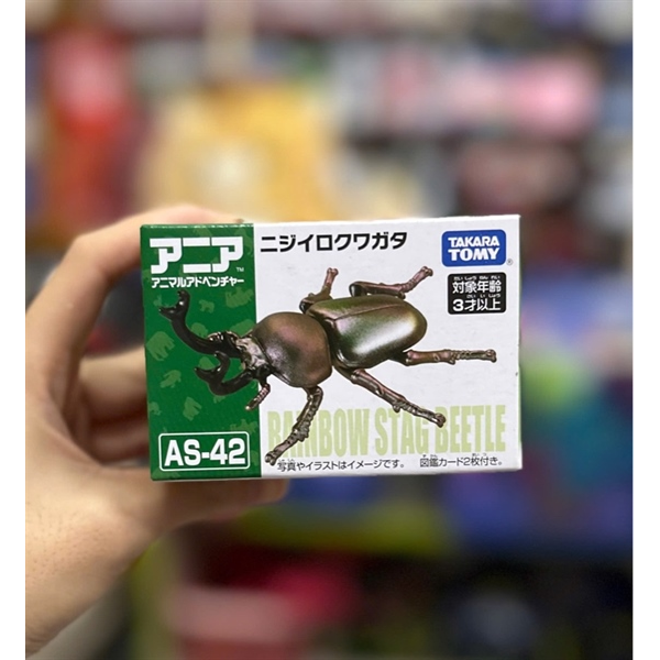Ania AS-42 Ranibow Beetle