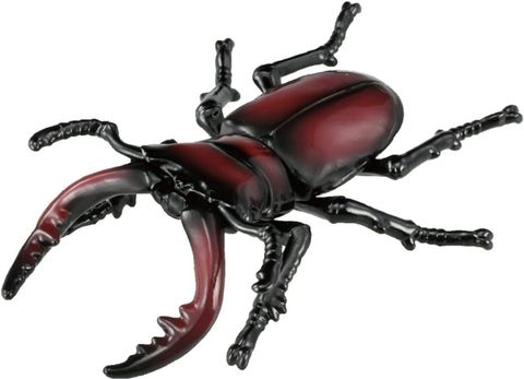  Ania AS-43 Sawtooth Stag Beelte 