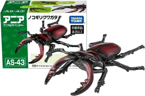  Ania AS-43 Sawtooth Stag Beelte 
