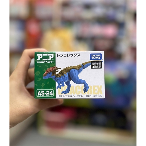  Ania AS-24 Dracorex 