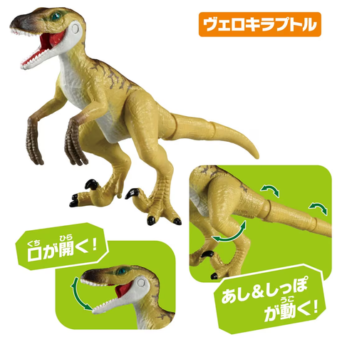  Mô hình khủng long Ania AA-03 Dinosaurs Set 