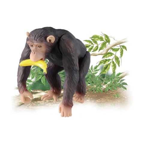  Đồ chơi mô hình ANIA AS-14 Chimpanzee (New) 