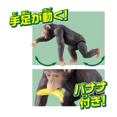  Đồ chơi mô hình ANIA AS-14 Chimpanzee (New) 