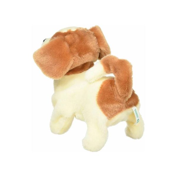 Chó bông biết sủa biết đi Jack Russell Terrier Iwaya.2