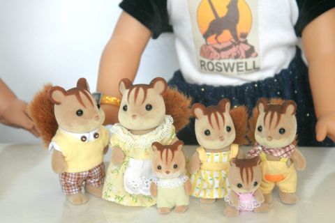  Walnut Squirrel Family 