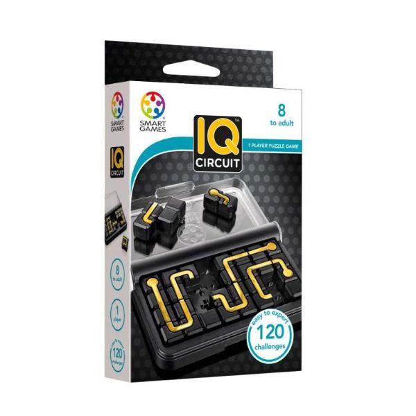 Đồ Chơi Thử Thách Trí Tuệ SG 467 IQ Circuit