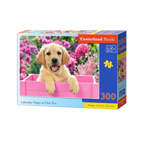  Tranh ghép Jigsaw Puzzle Labrador Puppy in Pink Box 300 mảnh CASTORLAND 