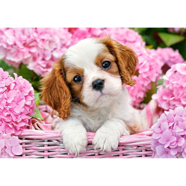Xếp hình Puzzle Chú Chó Trong Vườn Hoa Sắc Hồng 500 mảnh CASTORLAND B-