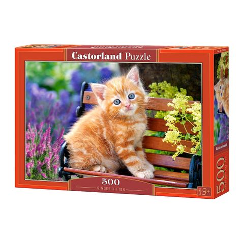  Xếp hình puzzle Ginger Kitten 500 mảnh CASTORLAND B-52240 