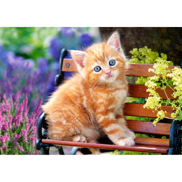 Xếp hình Puzzle Ginger Kitten 500 mảnh CASTORLAND B-52240