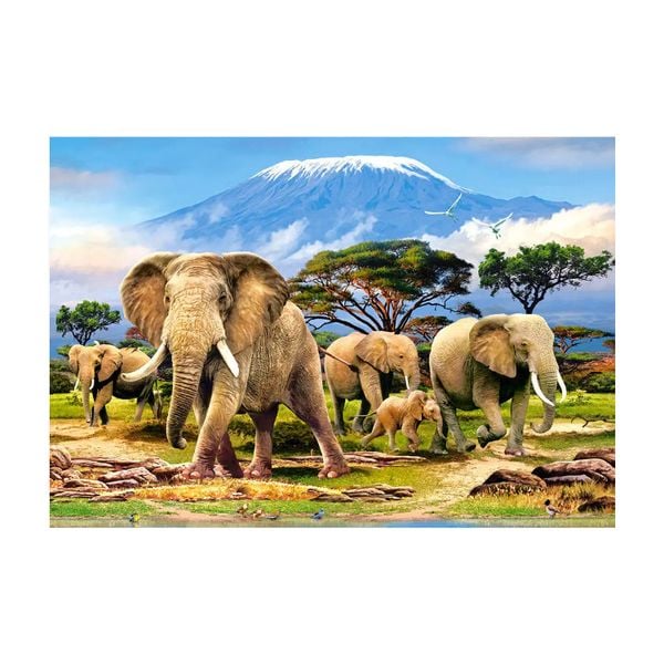 Xếp hình puzzle buổi sáng ngọn núi Kilimanjaro 1000 mảnh CASTORLAND C-103188